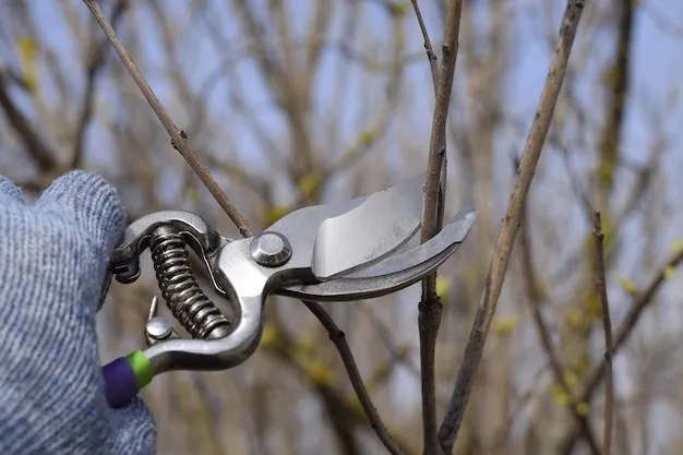 cómo afilar tijeras de jardín para un corte preciso